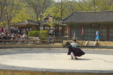 韩国传统骑术滑稽表演
