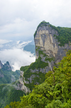 高山云雾