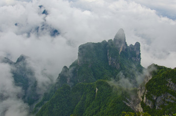 高山云雾