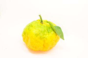 橘子素材