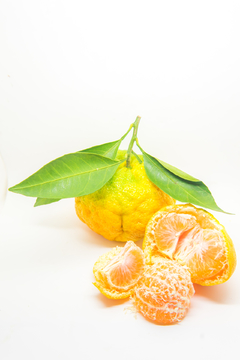 橘子素材