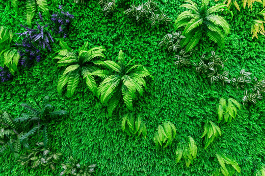 绿色植物背景素材