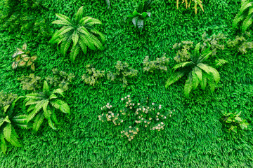绿色植物背景