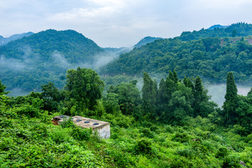 雾景