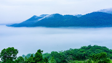 雾景