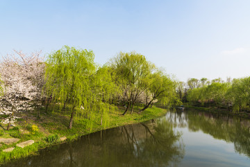 溪水河流