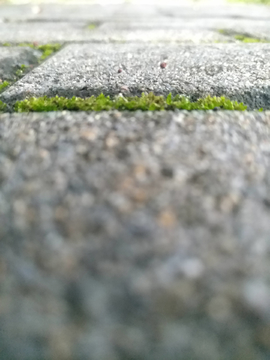 地砖