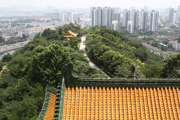 南京景色