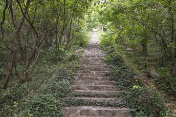 南京原点登山道