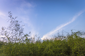 自然风景天空云彩