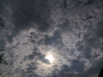 空阳