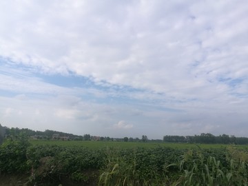 蓝天