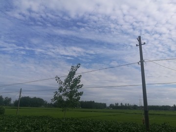 农家