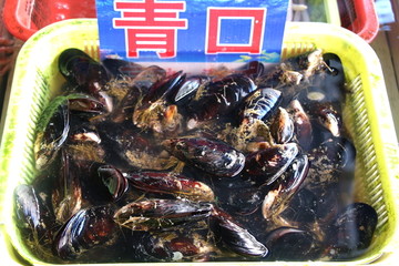 青口