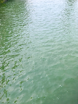 水波纹