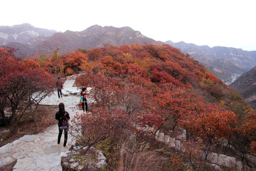 坡峰岭