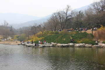 初春的北京植物园