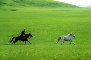 蒙古族骑马套马