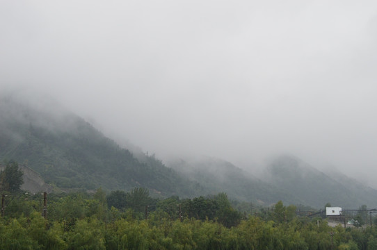 浓雾山林