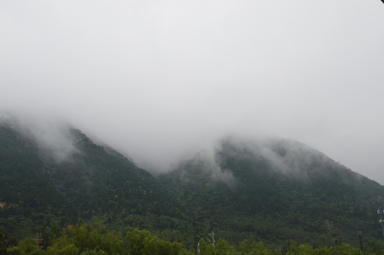 水墨山林