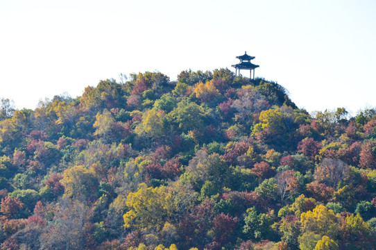 远处的风景