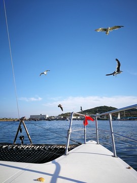 大连海洋风光
