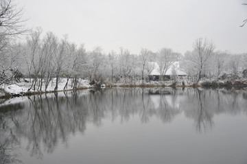 冬季的湖面雪景
