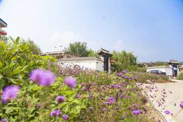 生态小院