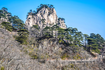 黄山印象