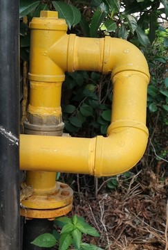 黄色P字形水管