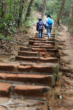 山中石板路登山