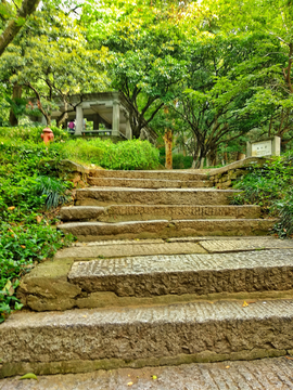 首义公园风景