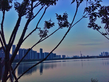 武汉东湖湖畔暮色