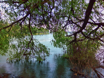 东湖公园风景