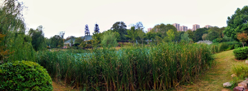 东湖公园风景