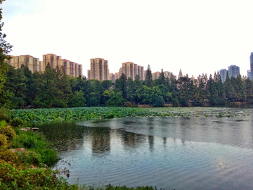 武汉东湖风景
