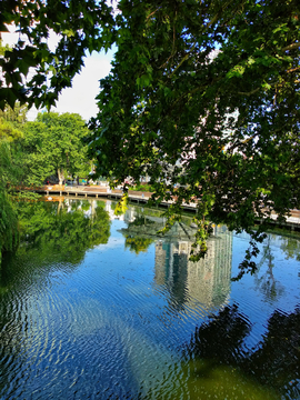 武汉中山公园 湖畔风景