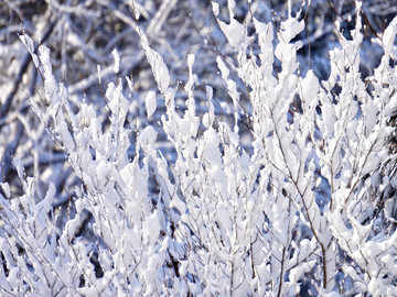 雪花