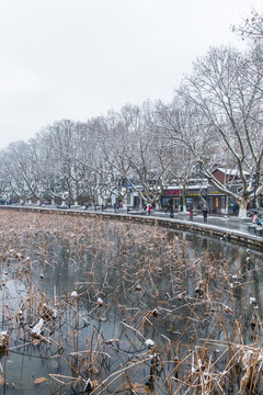 西湖雪景