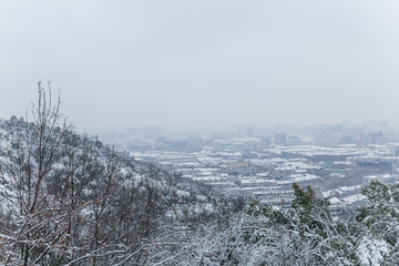 杭州雪景
