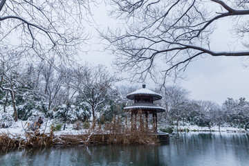 西湖雪景