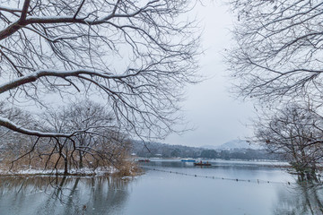 西湖雪景