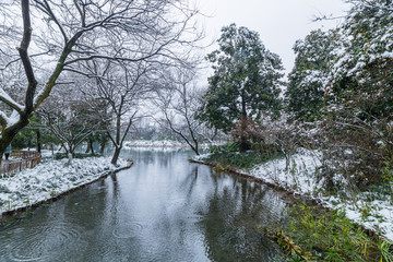 西湖雪景