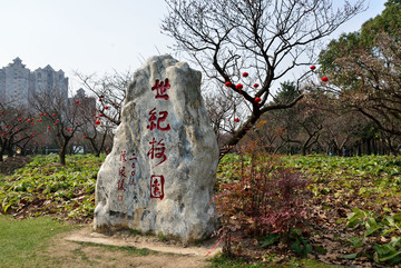 上海浦东世纪梅园