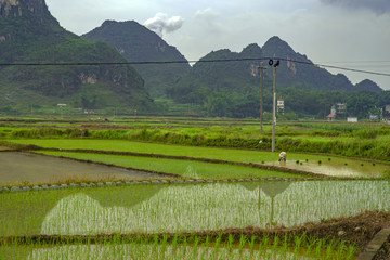 田园风景