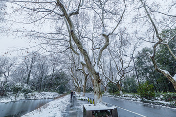 杭州雪景