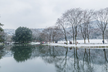 西湖雪景