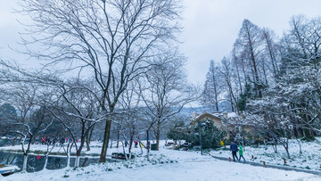 西湖雪景