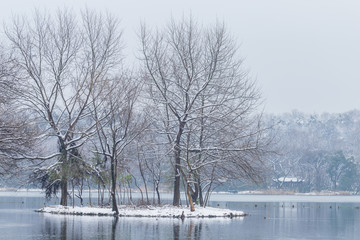 西湖雪景