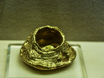 马蹄金